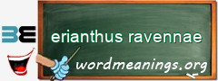 WordMeaning blackboard for erianthus ravennae